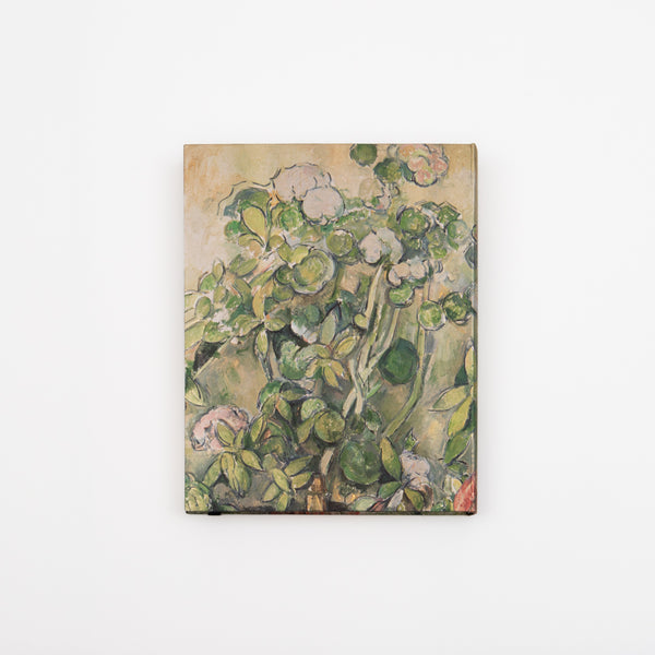 Cezanne 