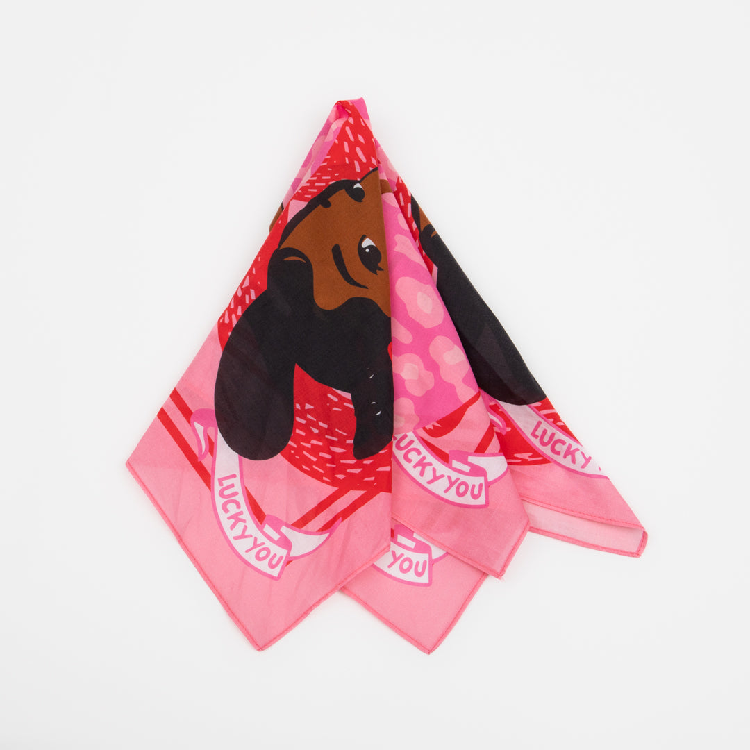 AVG &quot;Lucky You&quot; bandana