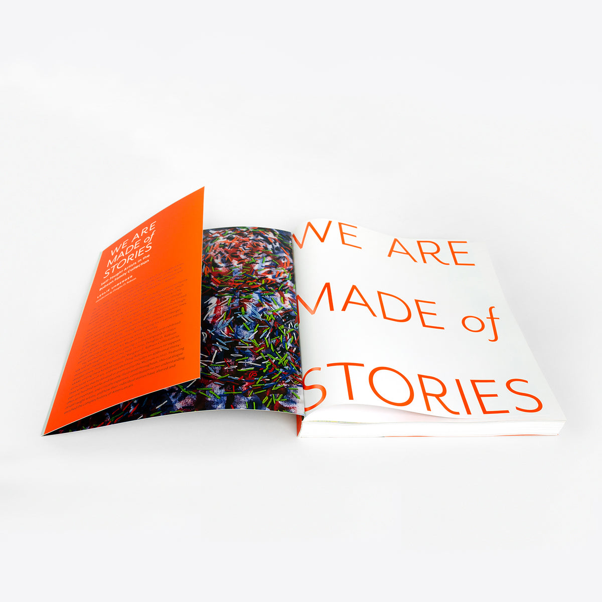 We Are Made of Stories: Self-Taught Artists in the Robson Family Collection