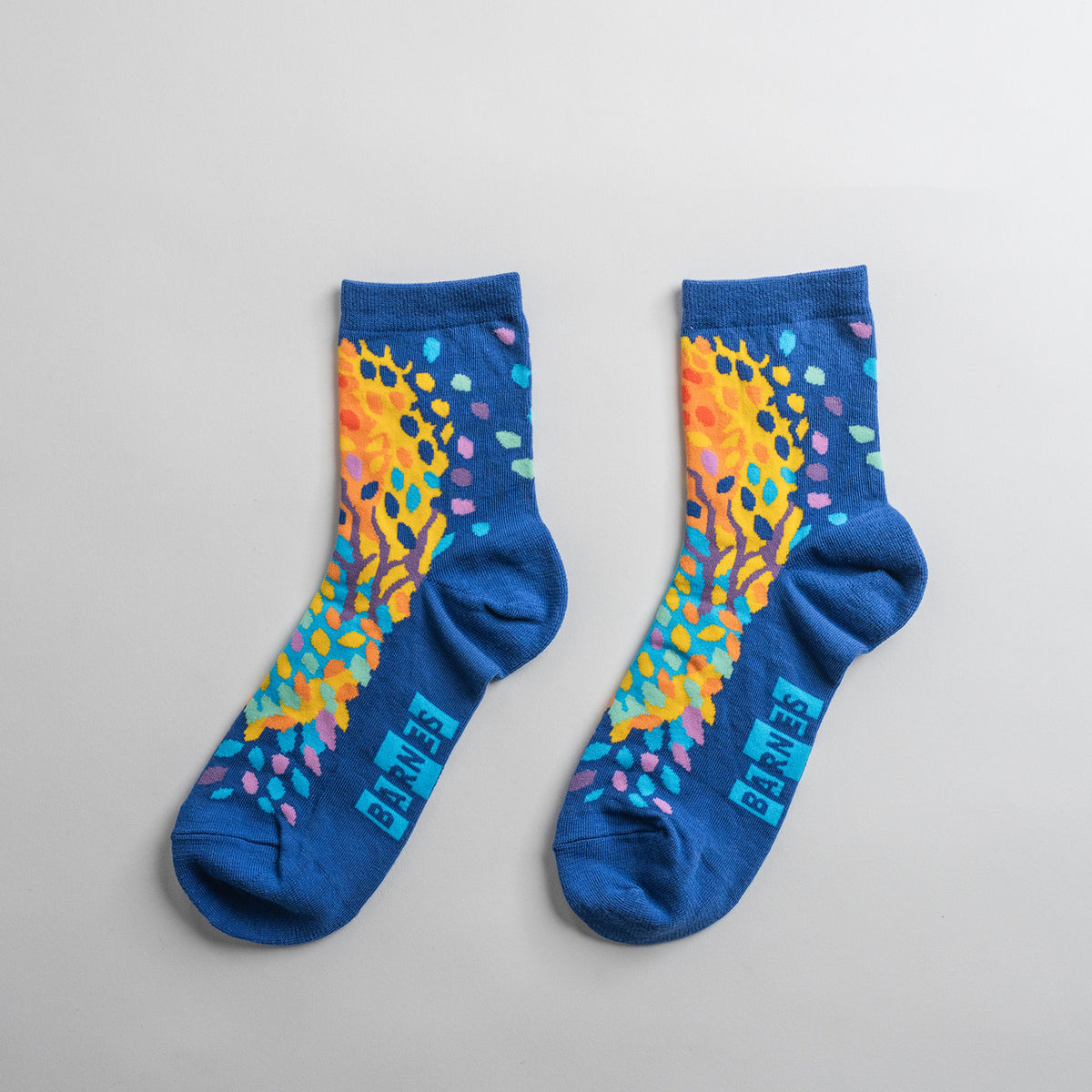 Artwork socks: Henri Edmond Cross seascape detail, quarter crew