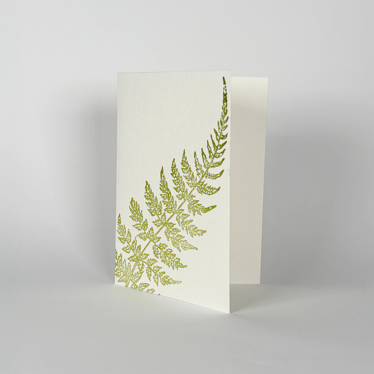 Fern letterpress notes