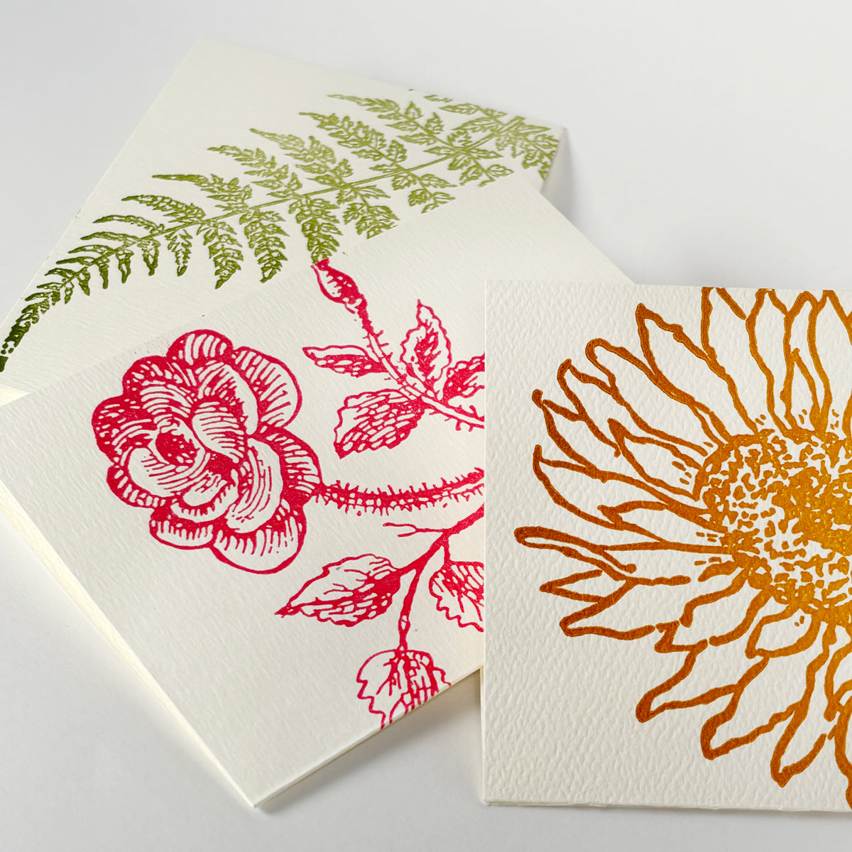Fern letterpress notes