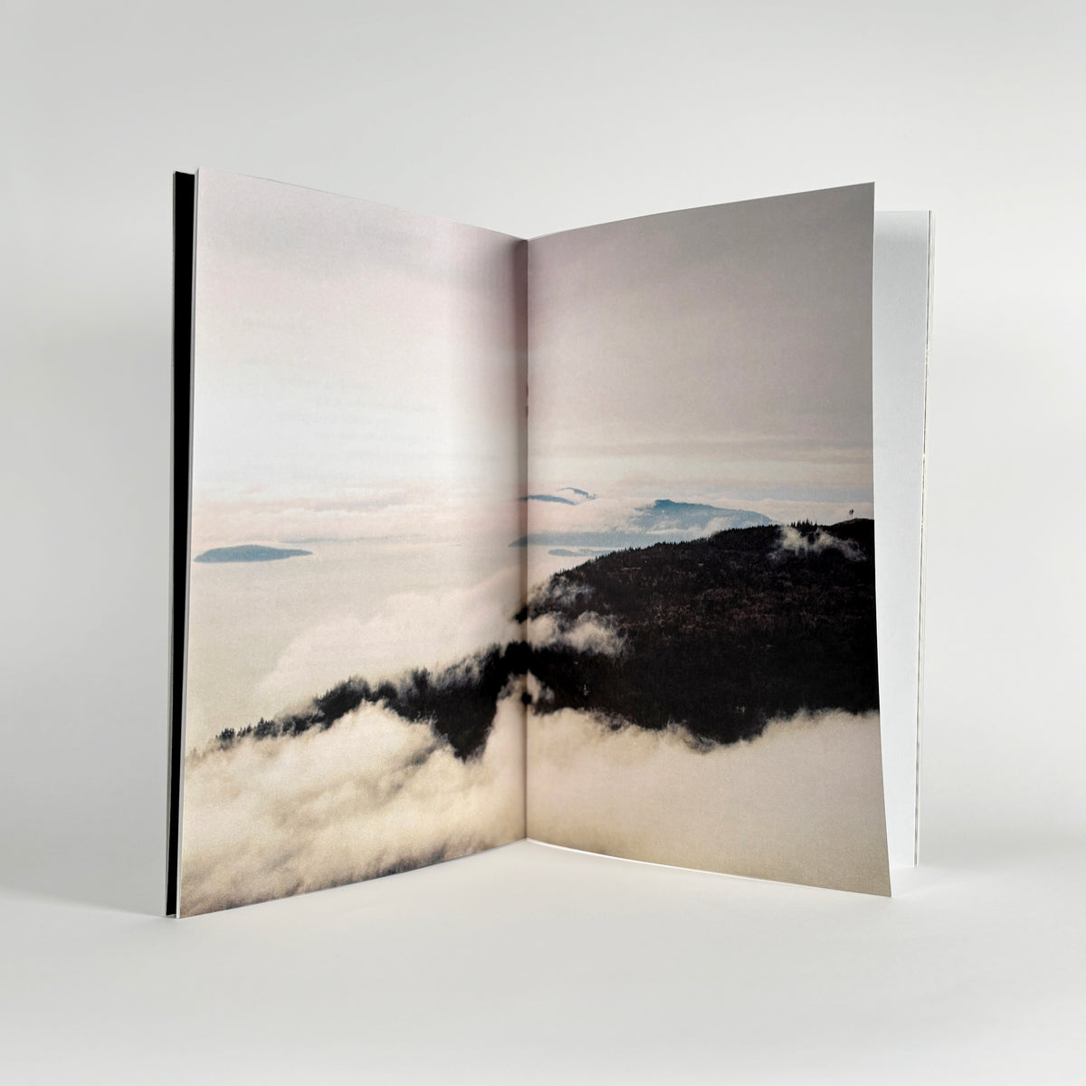 Sky Hopinka "Denizens of Hell"