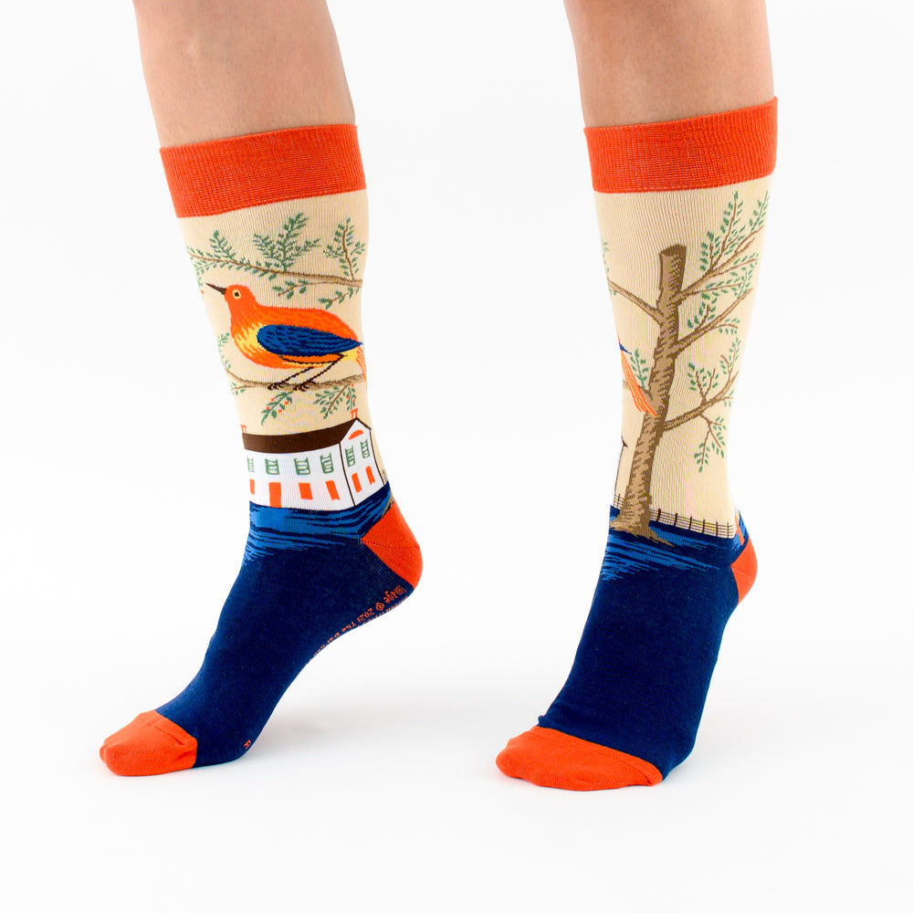 &quot;House and Bird&quot; socks