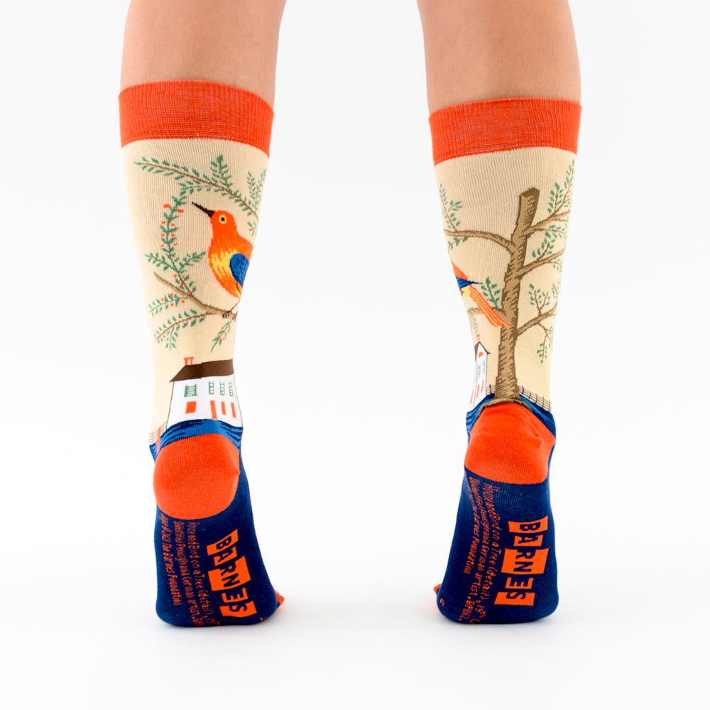 &quot;House and Bird&quot; socks